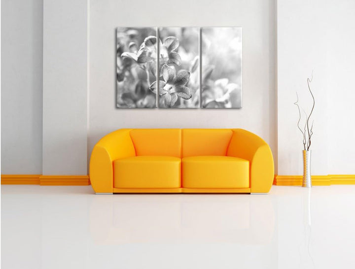 Pixxprint Lilane Lavendelblumen Kunst B&W / 3-Teilig/Gesamtmass 120cm Leinwandbild bespannt auf Holz