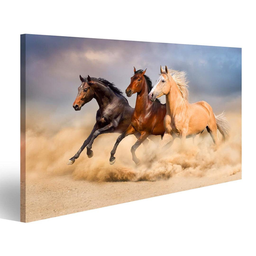 islandburner Bild auf Leinwand Pferdeherde Drei Pferde Gallopp Kinderzimmer Reiten Bilder Wandbilder