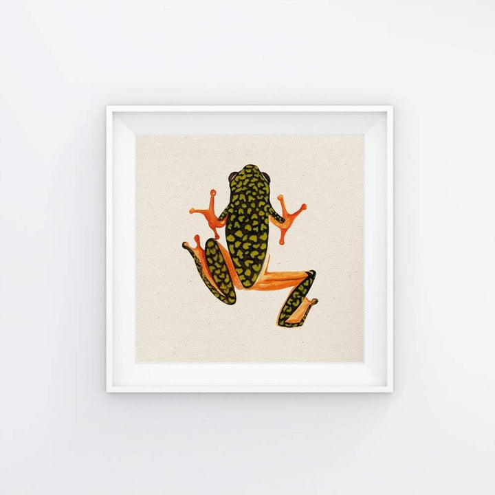 Nacnic Pack Blatt für die Gestaltung DREI Frösche. Square gerahmte Poster in der Grösse 25x25 mit Ra