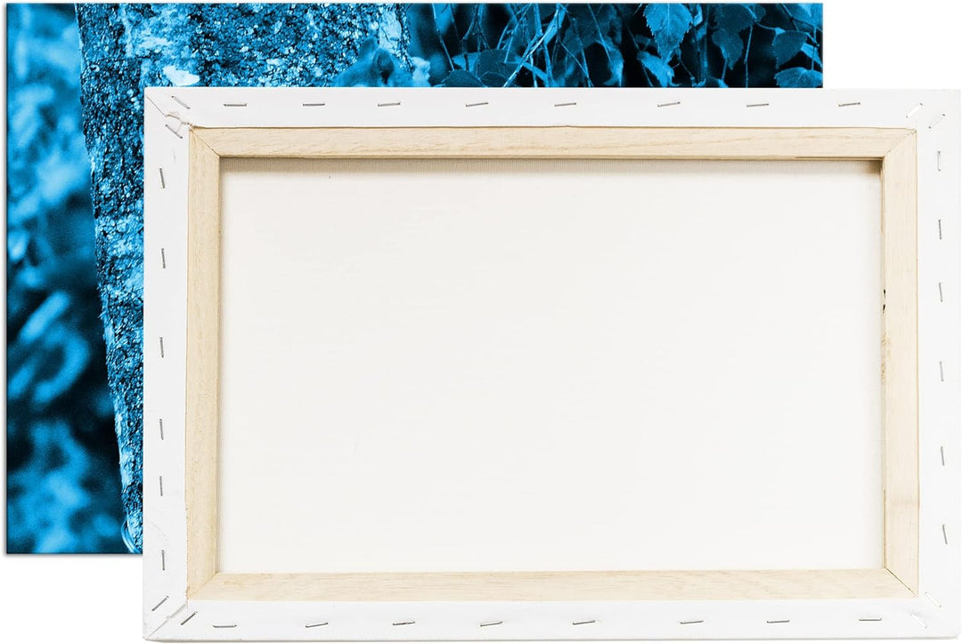 deyoli kleines niedliches Eichhörnchen auf einem Baum Format 80x60 Effekt: Monocrome Blau als Leinwa