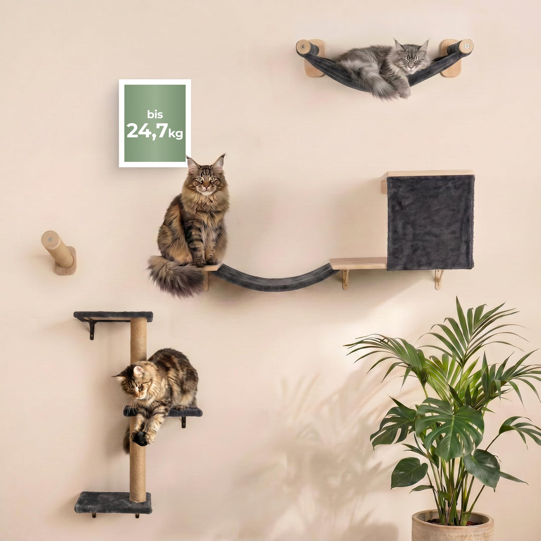 WOOWOOD® Kletterwand Katzen Set inkl. Katzentreppe Wand I Kratzbaum Wand I Hängematte Katze I Wandkr