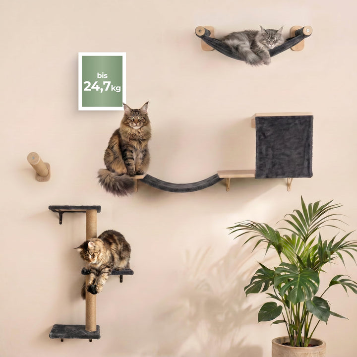 WOOWOOD® Kletterwand Katzen Set inkl. Katzentreppe Wand I Kratzbaum Wand I Hängematte Katze I Wandkr