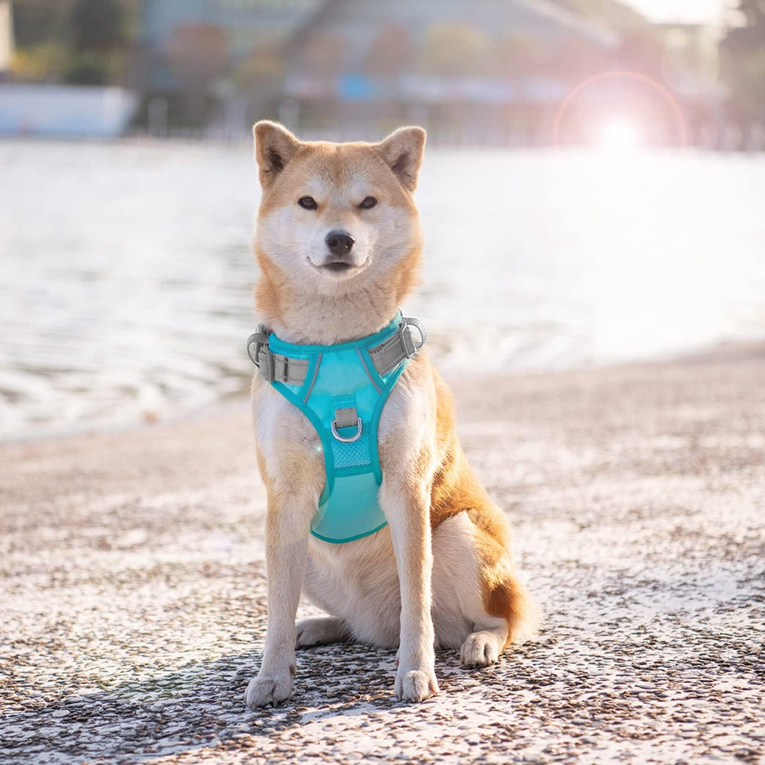 PHOEPET Anti-Zug Hundegeschirr - Reflektierendes Verstellbares Welpen-Sicherheitsgeschirr für kleine
