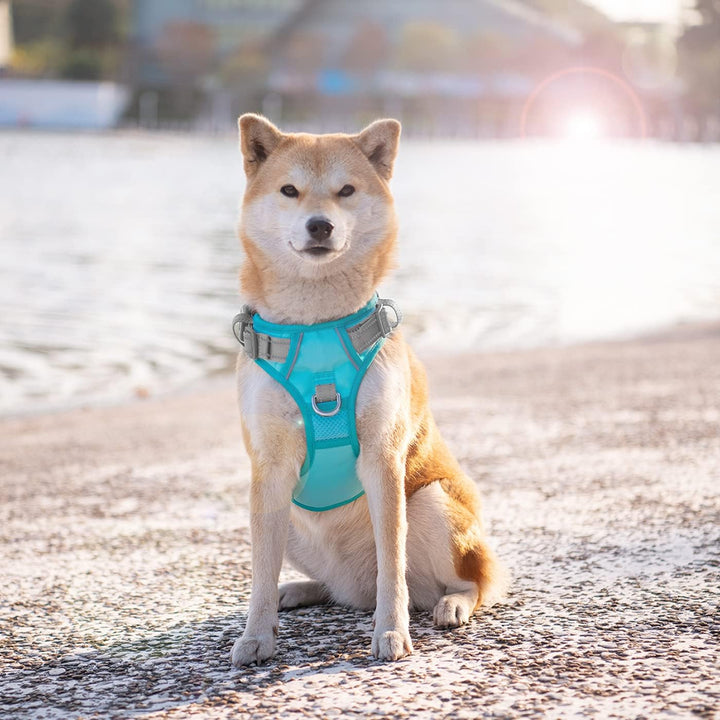 PHOEPET Anti-Zug Hundegeschirr - Reflektierendes Verstellbares Welpen-Sicherheitsgeschirr für kleine