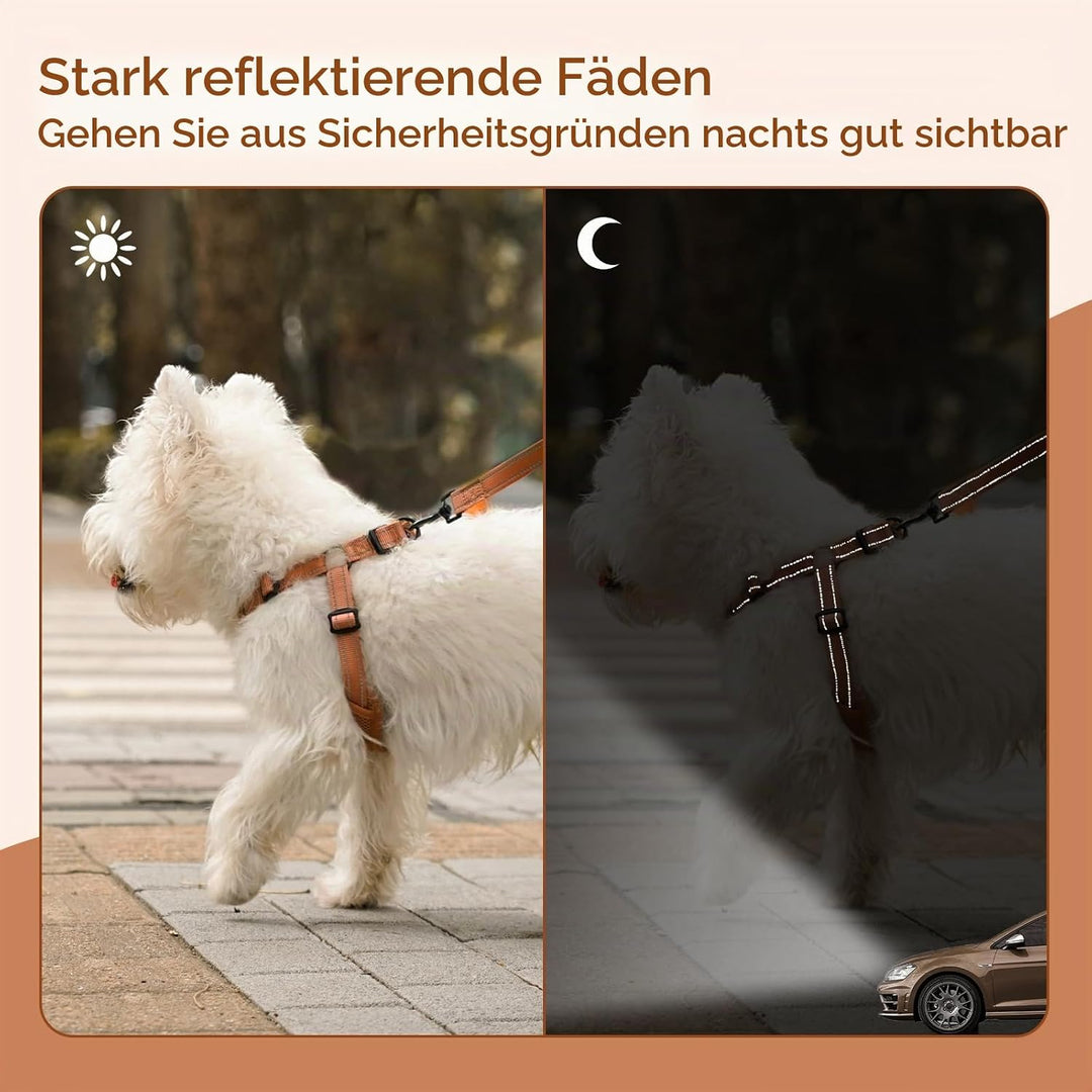 BELLA &amp; PAL Hundegeschirr und Leine Set, Step-in Design mit atmungsaktivem Air-Mesh, reflektierenden