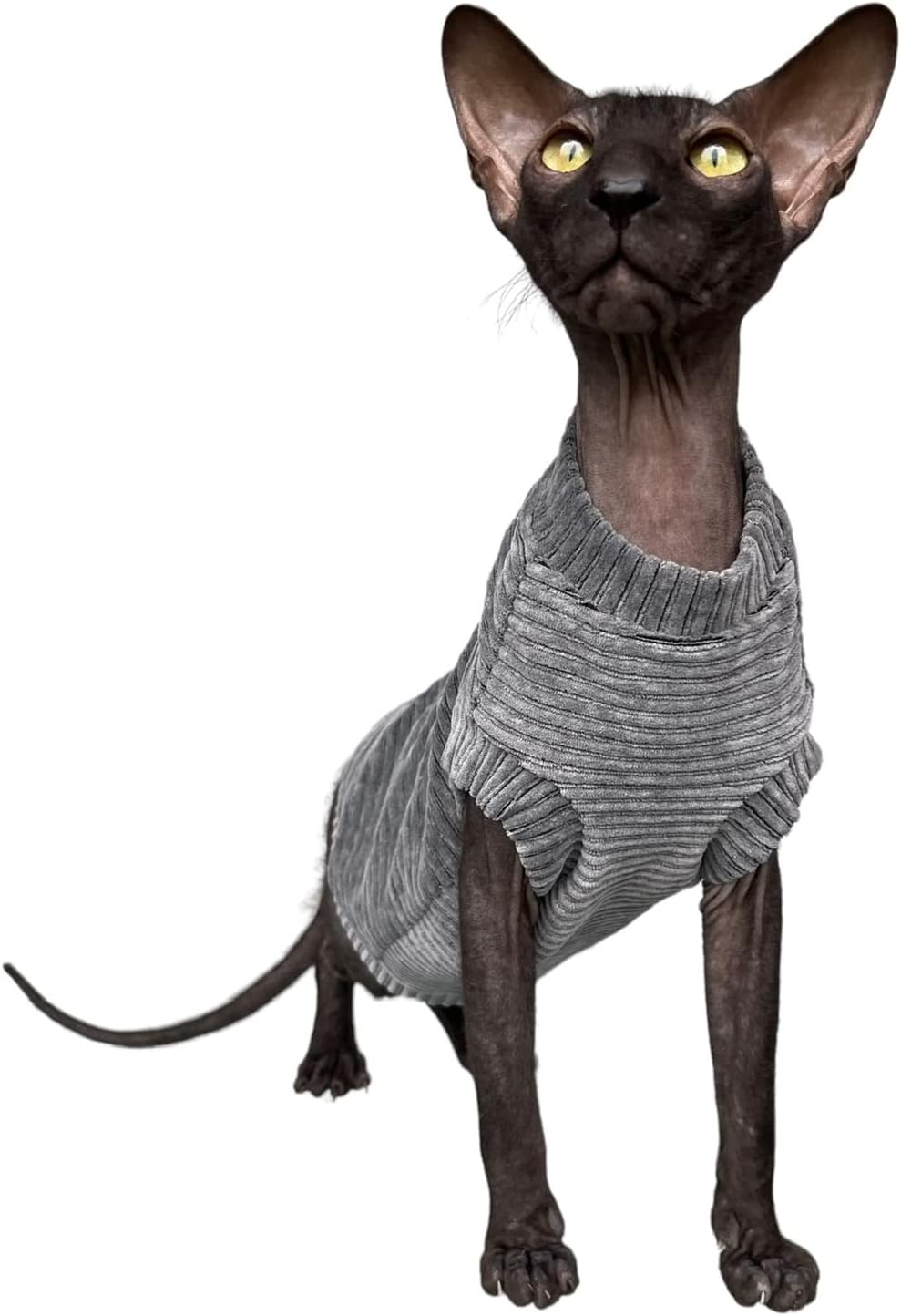 Kotomoda Katzen-T-Shirt aus Cord fьr Sphynx und nackte Katzen (klein, dunkelgrau) Small grau, Small