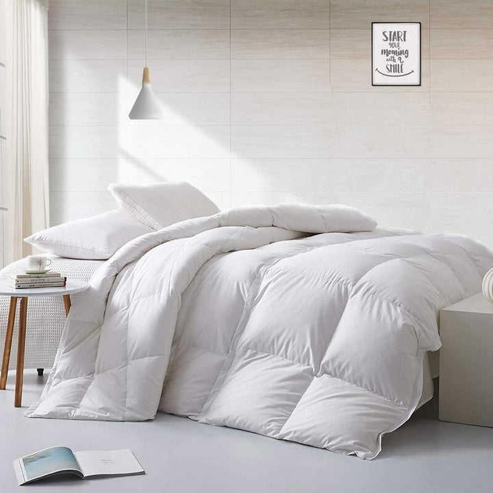 APSMILE Leichte Gänse Daunendecke, Sommerdecke 155x220cm, Hotel Collection Bettdecke mit Daunen und