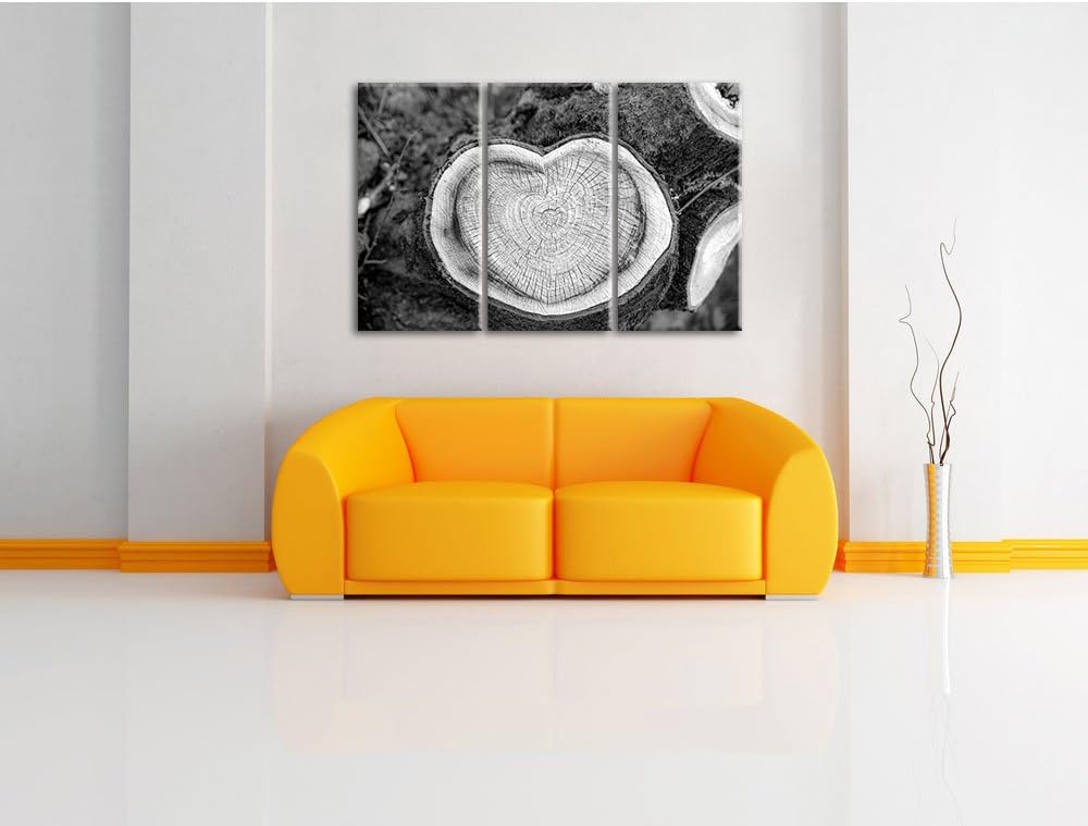Pixxprint Jahresringe am Baumstamm als Leinwandbild/Grösse: 3 Teilig (120x80) cm/Wandbild/Kunstdruck