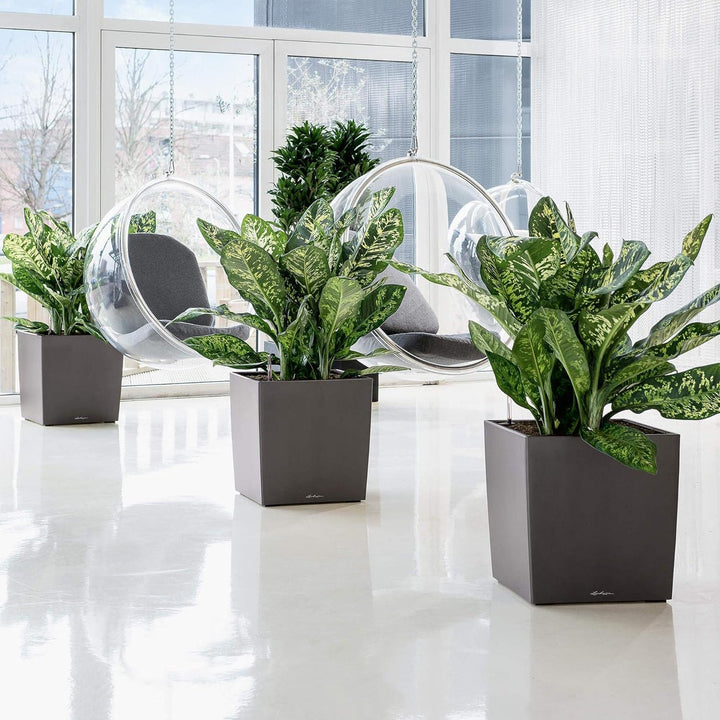 LECHUZA CUBE Premium 50 silber metallic 16568 49x49x49.5 cm Silber Metallic, 49x49x49.5 cm Silber Me