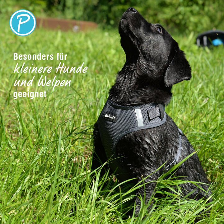 Petlando Hundegeschirr Mesh Vest, leichtes Brustgeschirr aus weichem Mesh & Nylon, stufenlos verstel