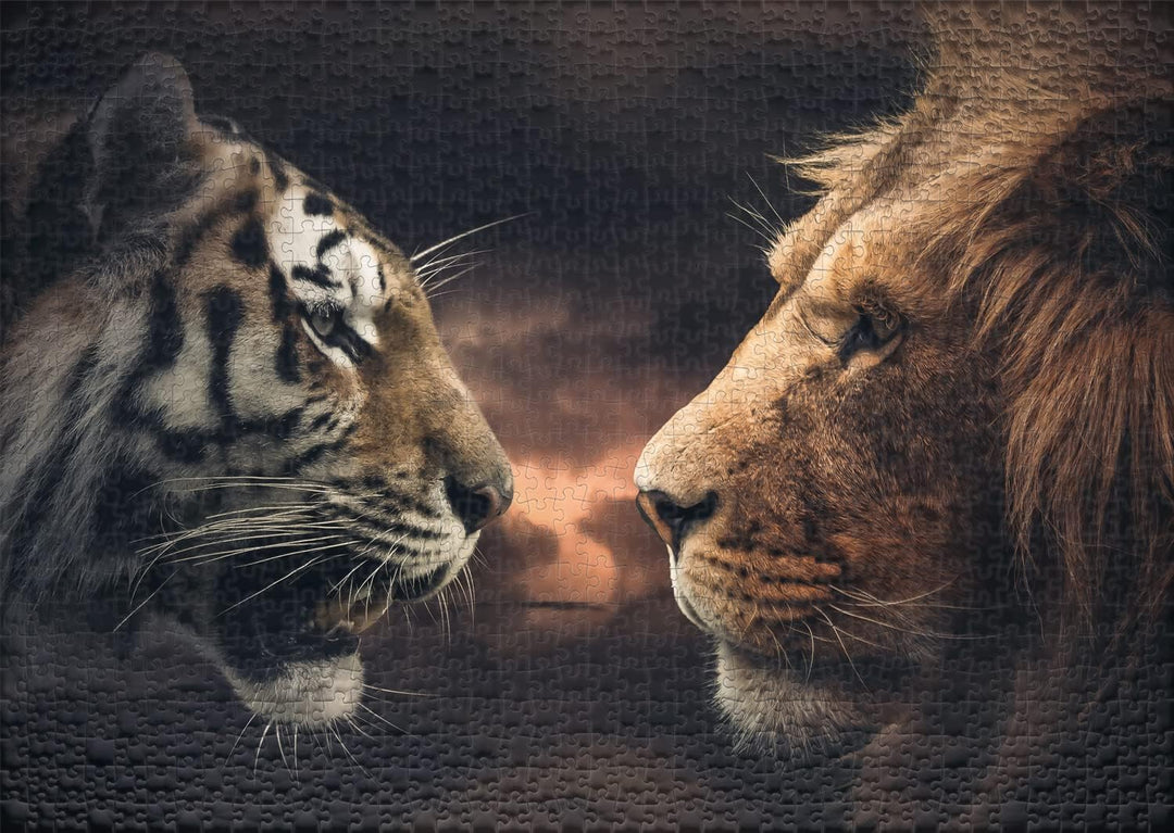 Ulmer Puzzleschmiede - Puzzle „Rumble in The Jungle“ - Eindrucksvolles 1000 Teile Puzzle mit Löwe un