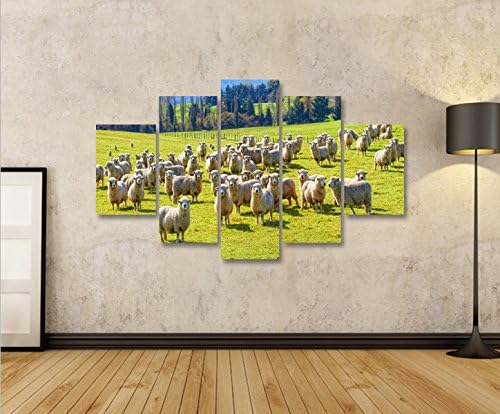 islandburner Bild Bilder auf Leinwand Schafherde Schafe auf Wiese MF XXL Poster Leinwandbild Wandbil