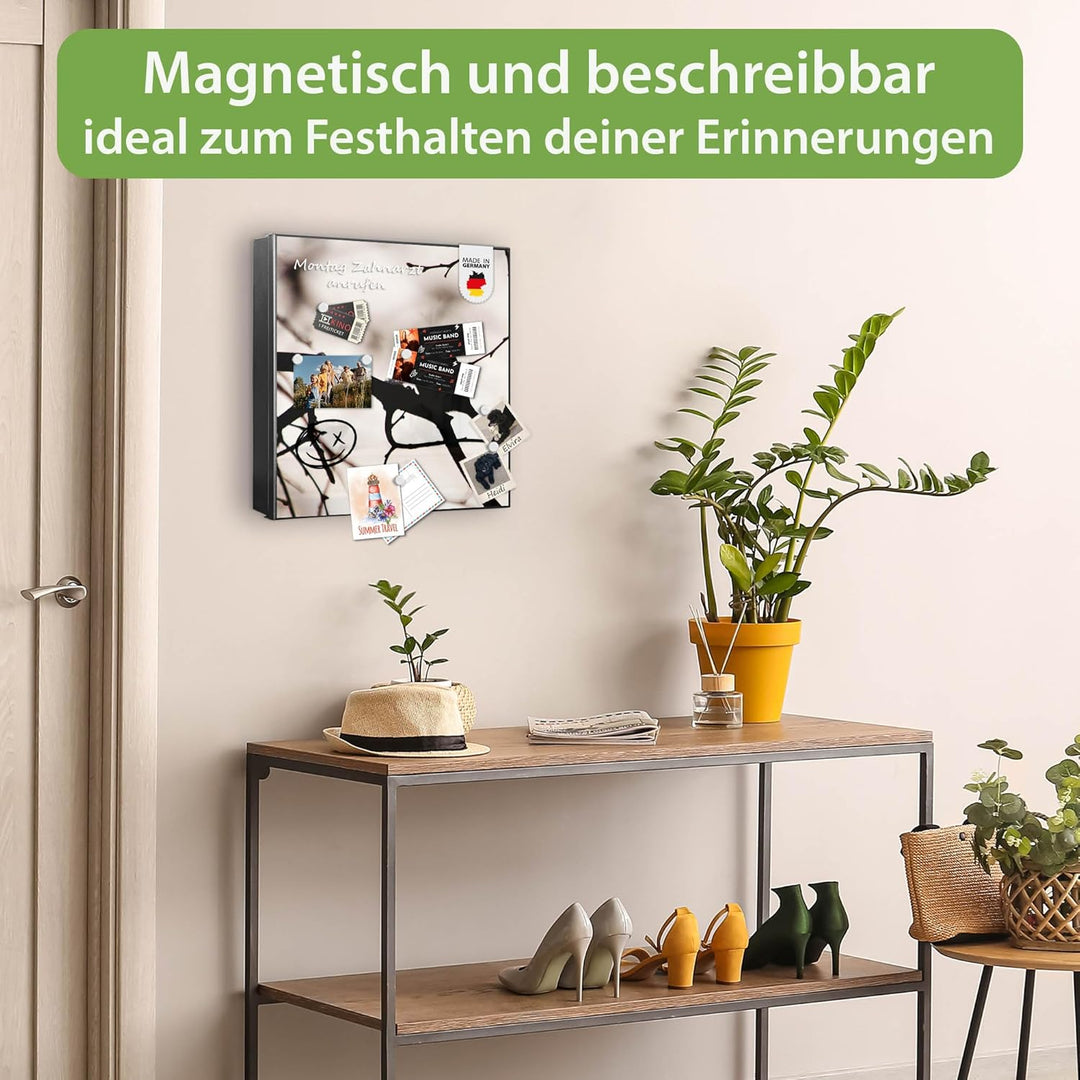 banjado® Grosser Schlüsselkasten Glas/Schlüsselbox 30cm x 30cm mit 50 Haken - Motiv Früher Vogel/Sch