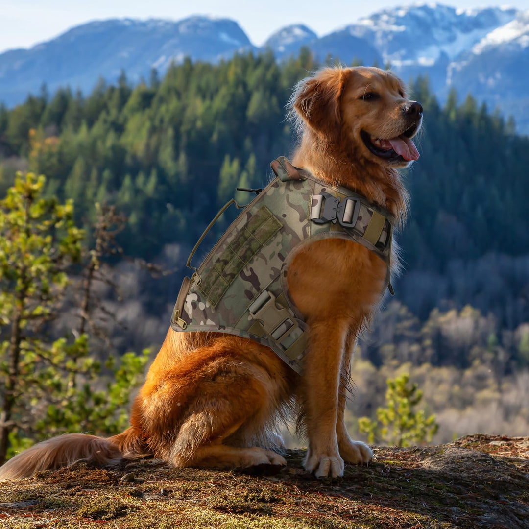 AIWAI Taktisches Hundegeschirr für mittlere und grosse Rassen, Molle-Panels Metallschnalle, Weste mi