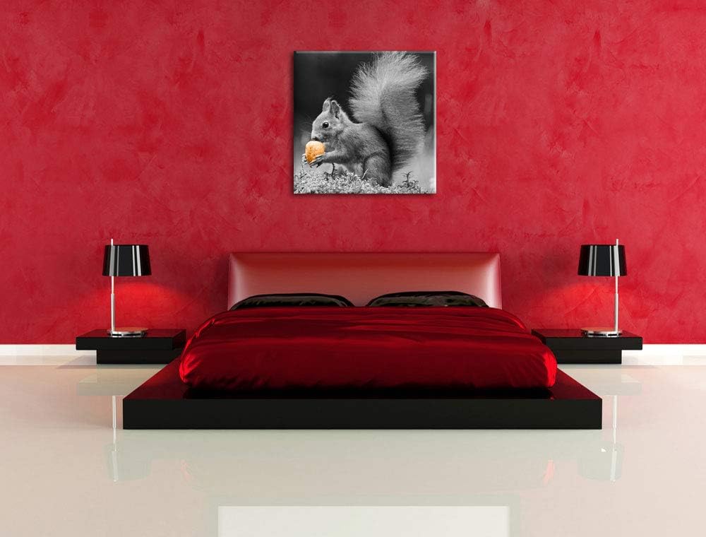 Pixxprint niedliches Eichhörnchen mit Nuss als Leinwandbild/Grösse: 70x70 cm/Wandbild/Kunstdruck/fer