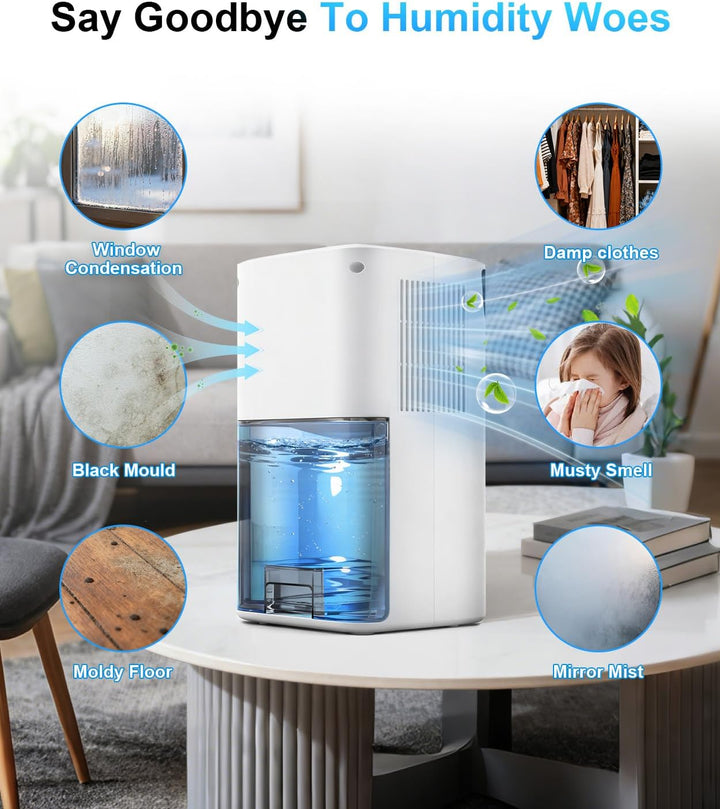 Mini Luftentfeuchter Elektrisch 2600ML für Kleine Räume, Entfeuchter mit Geräuschreduziertem Nachtmo