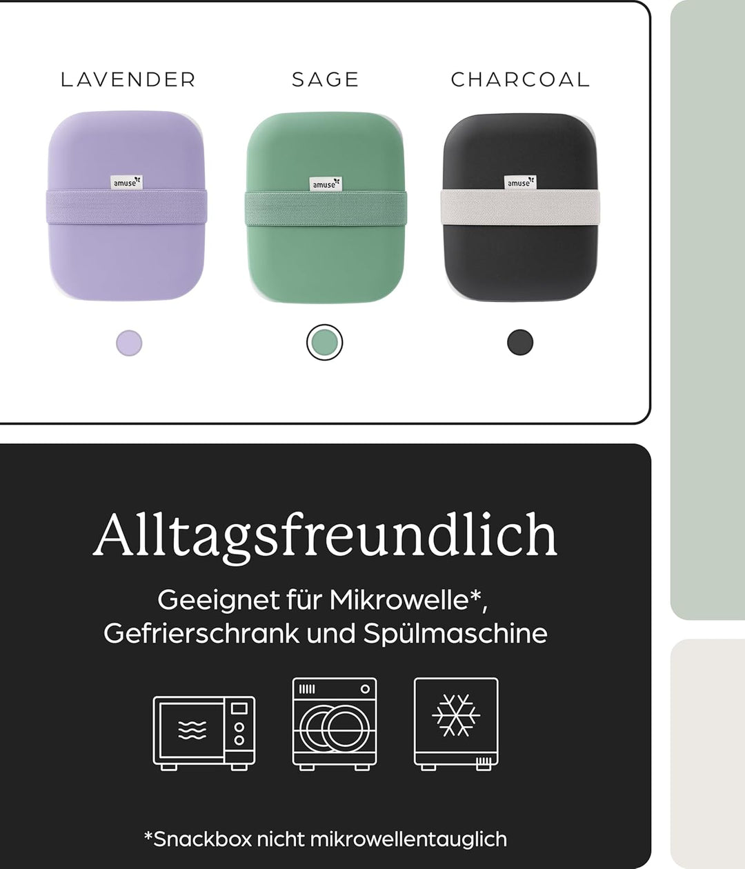 Amuse Lunchbox Erwachsene | Salat To Go Box, Brotdose Erwachsene oder Jausenbox Kinder | Bento Box |