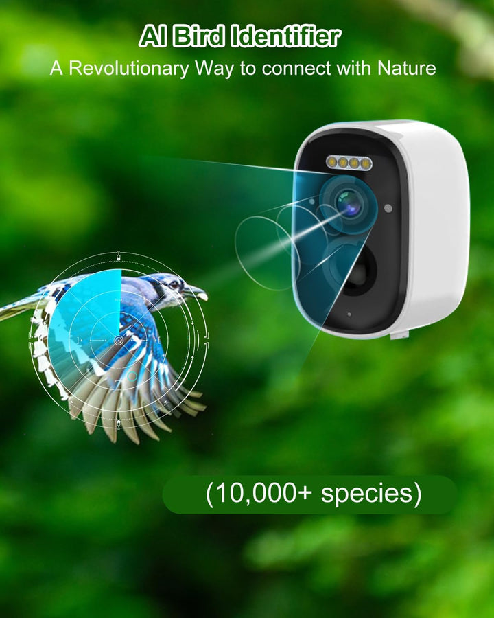 Nistkasten mit HD Kamera Solarbetriebenes, Live Stream Al Vogelbestimmer, Beobachten Sie das Nisten