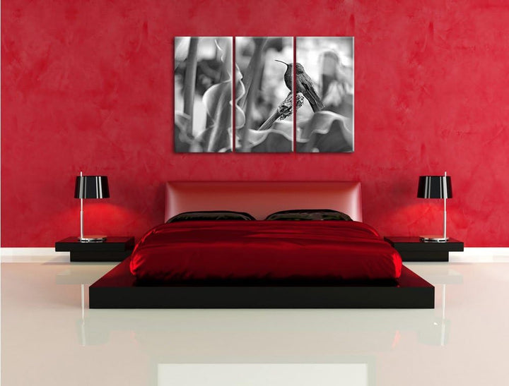 Pixxprint Kolibri in seinem Lebensraum als Leinwandbild/Grösse: 3 Teilig (120x80) / Wandbild/Kunstdr