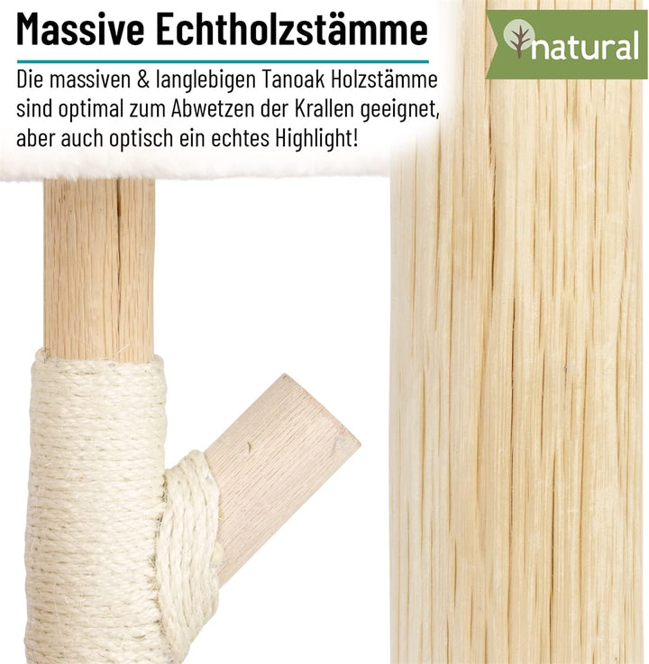 VOSS.pet Flauschiges Katzenhaus Mary 42cm, Premium Kratzbaum mit Naturholz vom Tanoak Baum, Kletterb