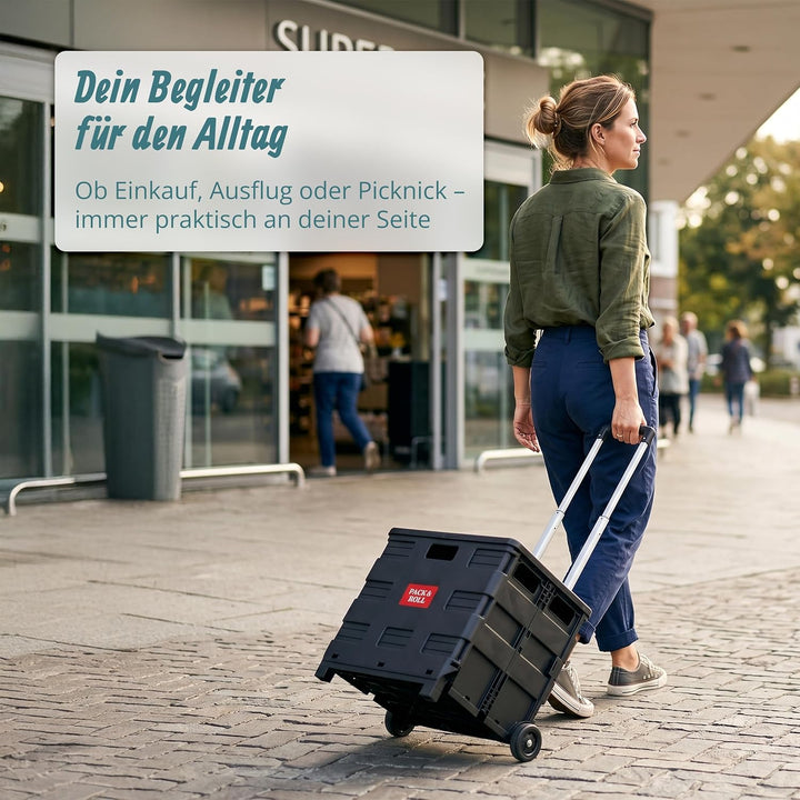 Relaxdays Einkaufstrolley klappbar, mit Teleskopgriff & Deckel, Transporttrolley, bis 35 kg, HBT 99x