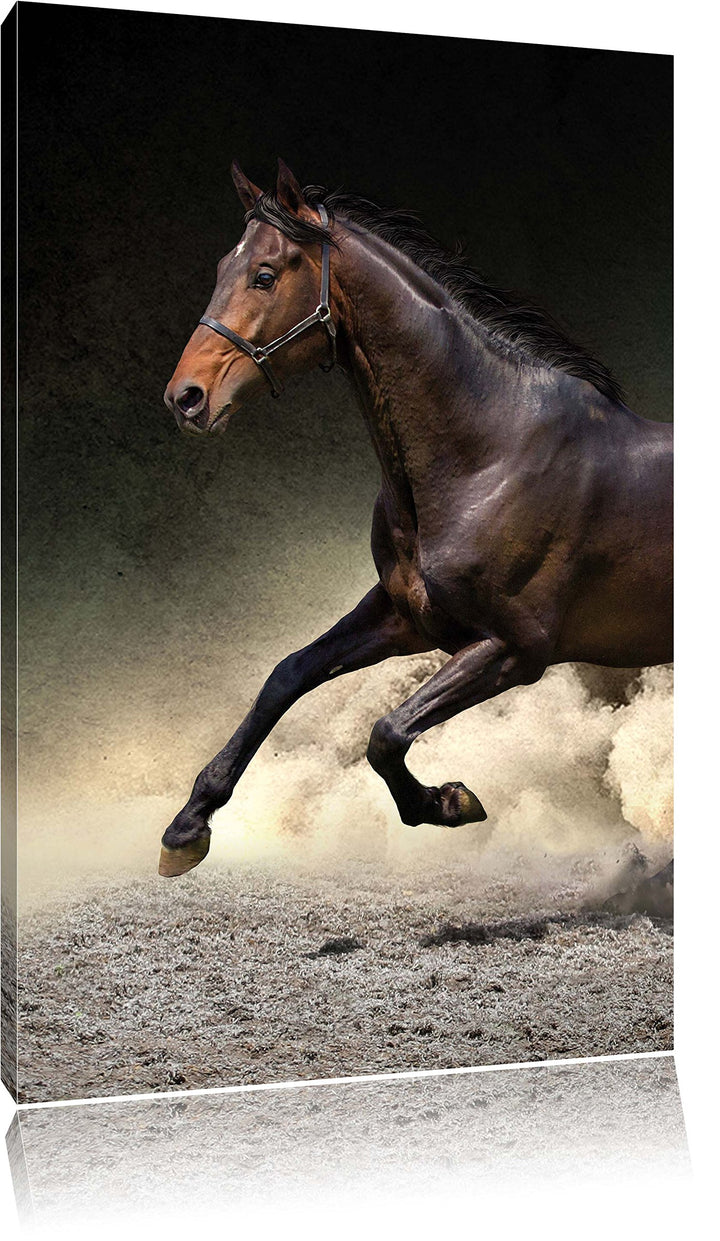 Dark Schwarzer Hengst, Format: 100x70 auf Leinwand, XXL riesige Bilder fertig gerahmt mit Keilrahmen