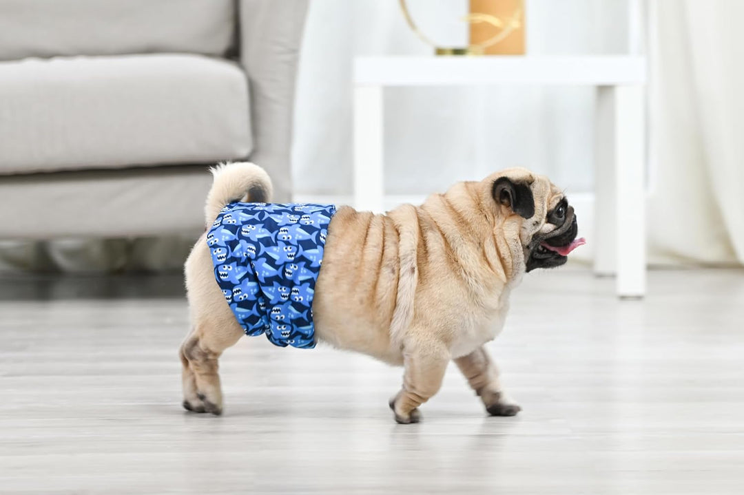 CuteBone Männlich Waschbare Hundewindeln Bauchbänder,3 Stück Wiederverwendbare hund bauchband für Rü