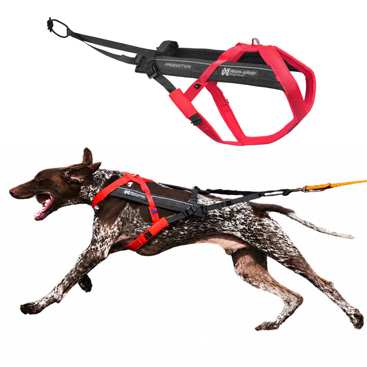 Non-stop dogwear FREEMOTION Harness 5.0 |111| Hundegeschirr für alle Sportarten, Grösse:5, 5
