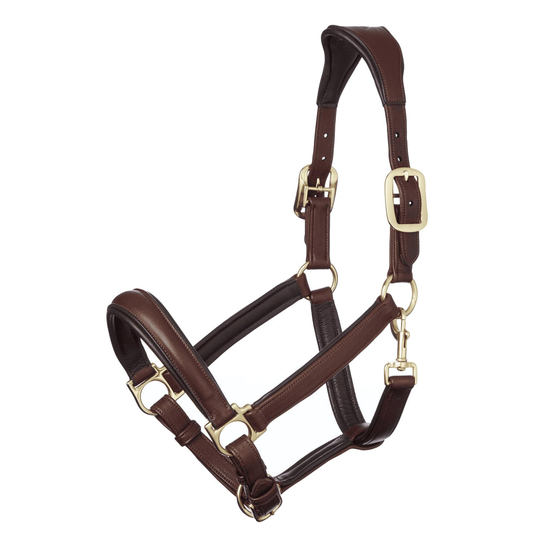 LeMieux Anatomisches Lederhalfter Cob Braun, Cob Braun