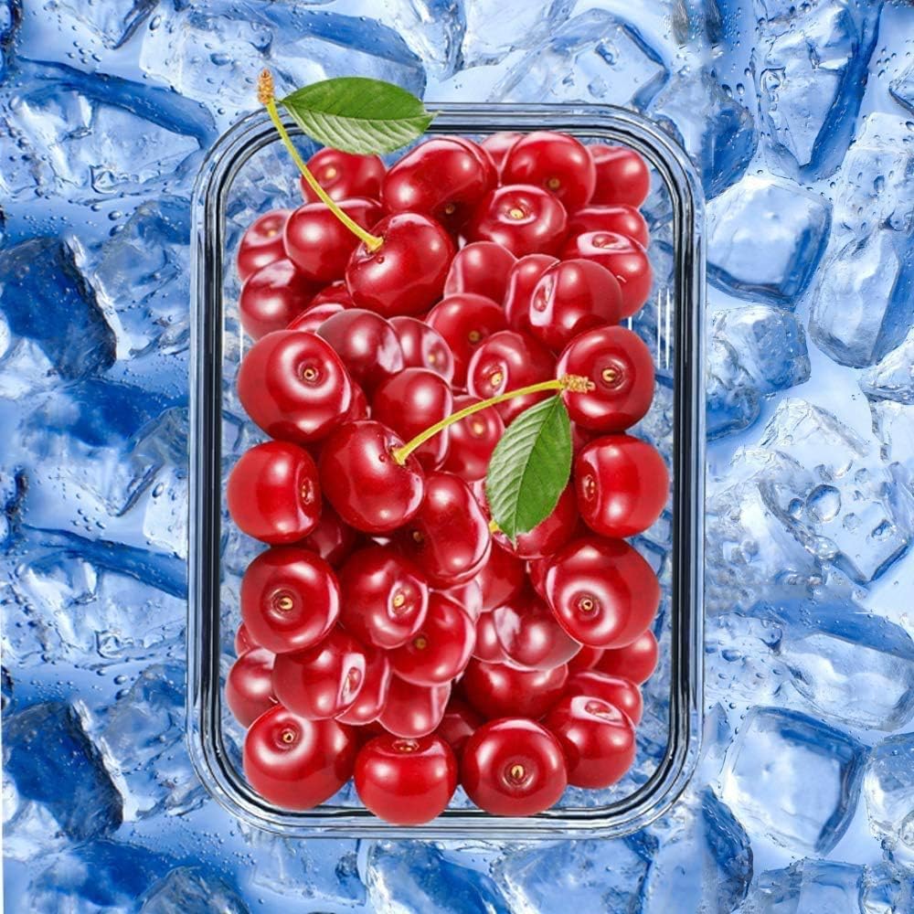 GENICOOK Lunchbox Bento Brotdose mit Lunchtasche/Brotzeitdose Frischhaltedosen Glas perfekt für Meal