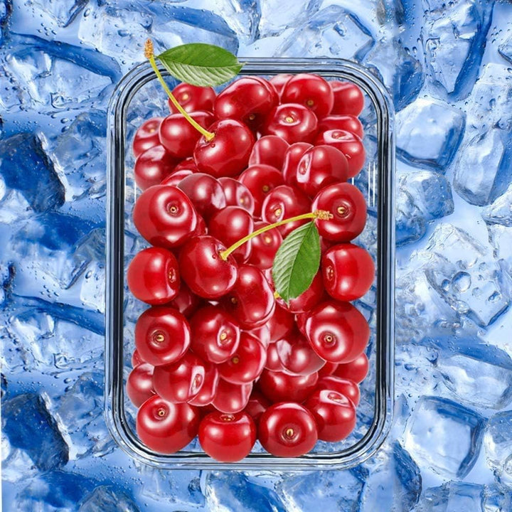 GENICOOK Lunchbox Bento Brotdose mit Lunchtasche/Brotzeitdose Frischhaltedosen Glas perfekt für Meal