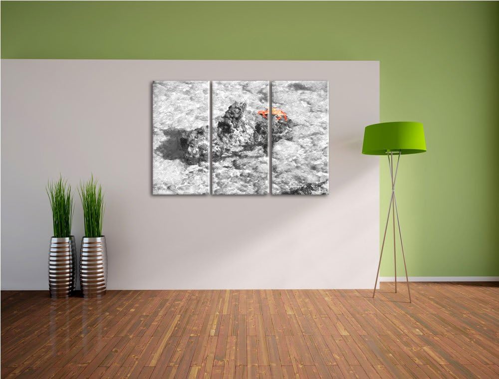 rote Krabbe auf Riff schwarz/weiss Deluxe 3-Teiler Leinwandbild 120x80 Bild auf Leinwand, XXL riesig