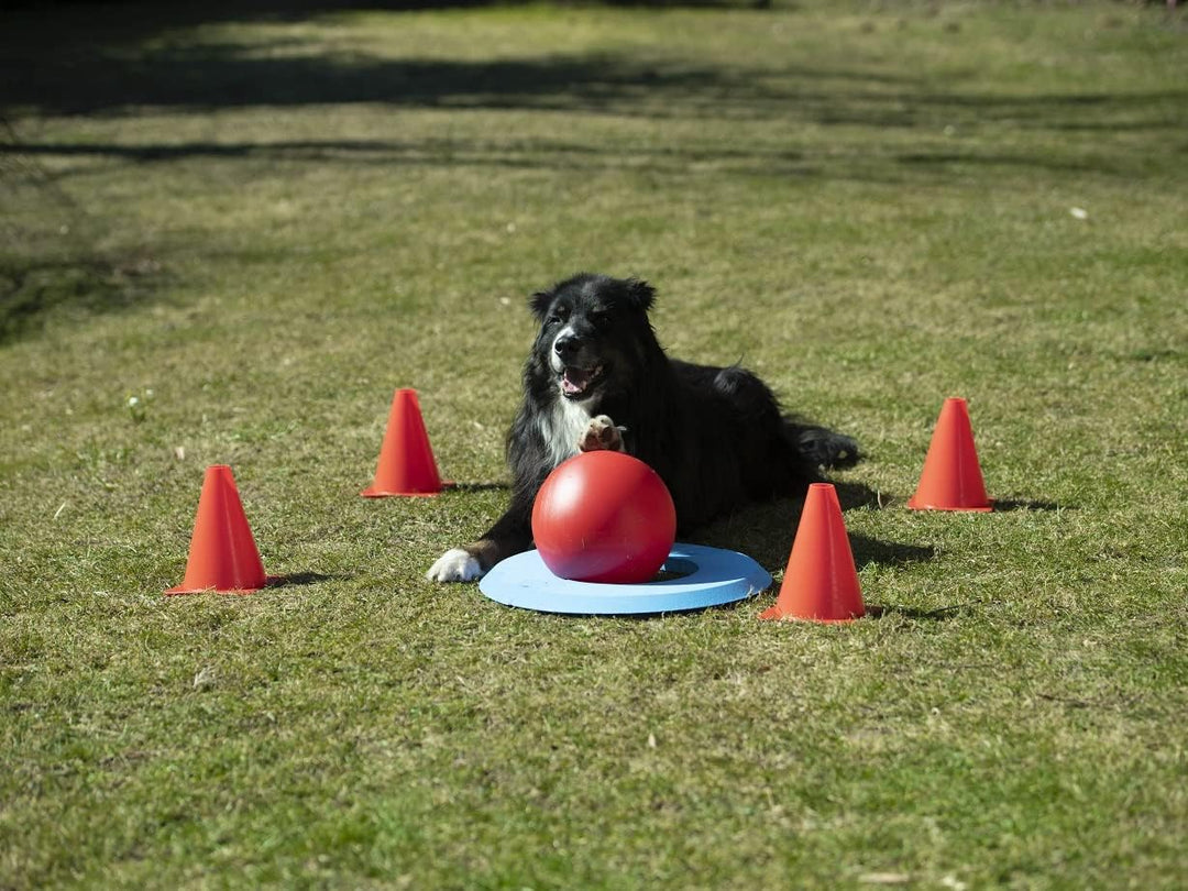 NATIV Golf Spielset für Hunde, Hundespielzeug, Agility-Set, Hundetraining