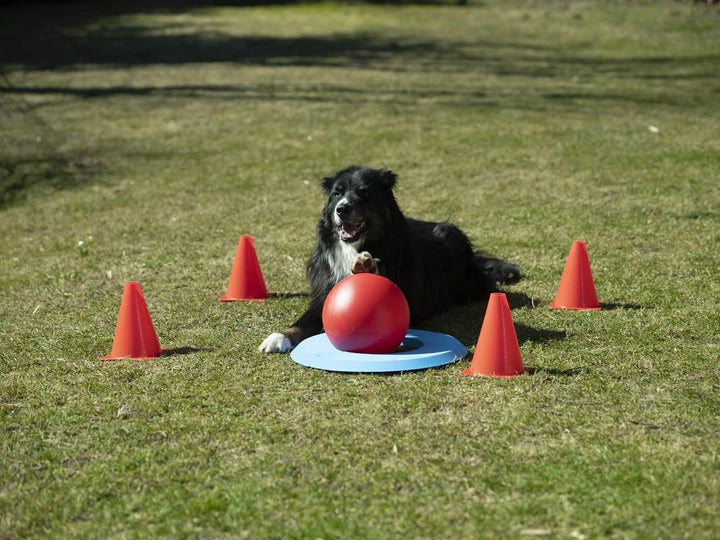 NATIV Golf Spielset für Hunde, Hundespielzeug, Agility-Set, Hundetraining