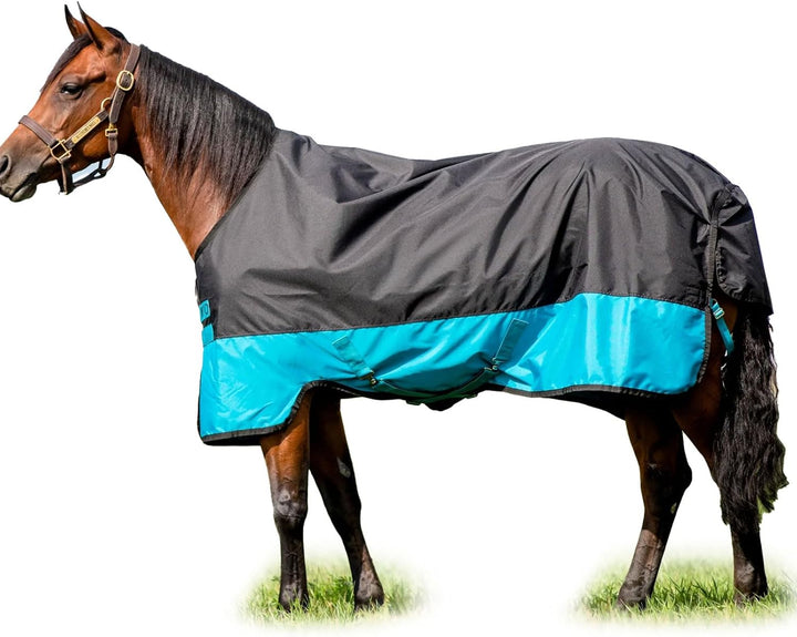 Horseware Amigo Mio Turnout medium black turquoise Weidedecke Winterdecke schwaz-türkis 6'0, schwaz-