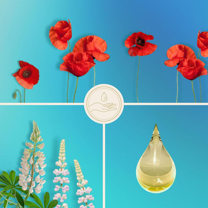 frei öl – FigurÖl AQUA AURA – Anti Cellulite Effekt strafft & festigt die Silhouette, reduziert Cell