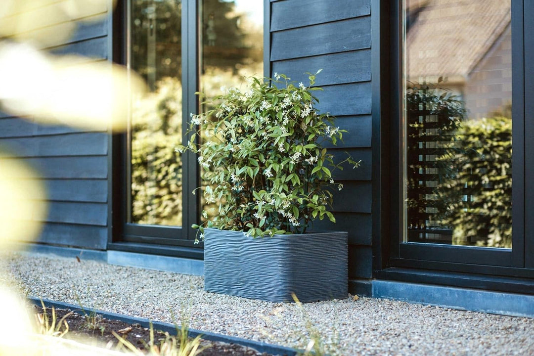 Capi Europe - Gefäss rechteckig Rib NL - 73x39x32 - Anthrazit - Öffnung Ø31 - Blumentopf für den Inn