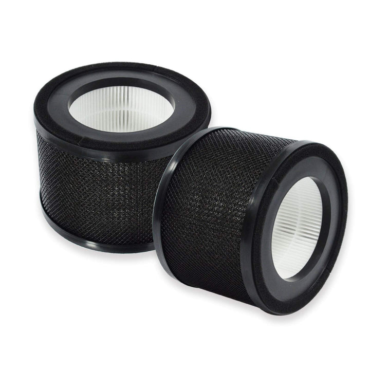 PUREBURG AP001 Ersatzfilter Kompatibel mit HERILIOS HS-AP001 & TaoTronics TT-AP001 Luftreiniger,H13