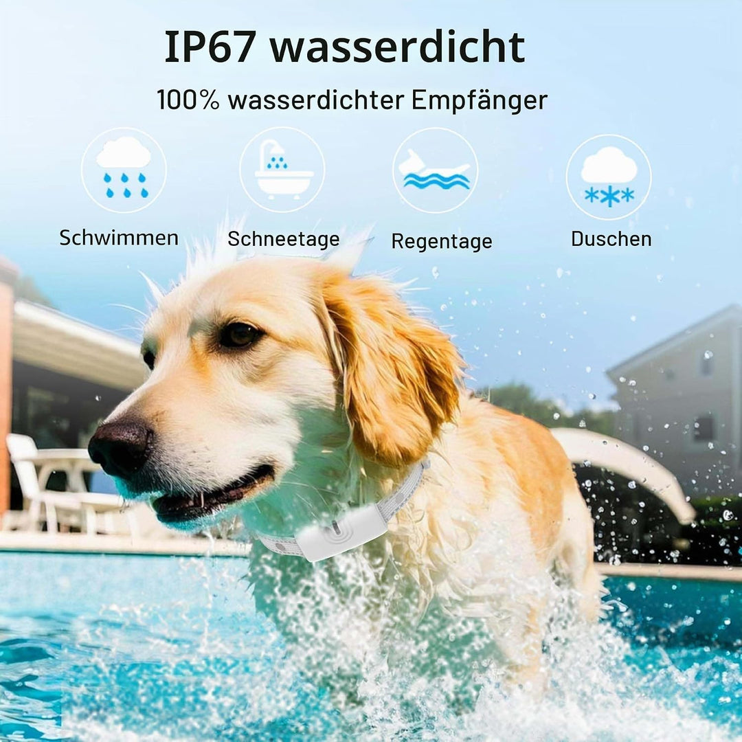 Generisch Erziehungshilfen,Ideal auch für Agility-Training.Praktische Hundeerziehungshilfen,Das Hund