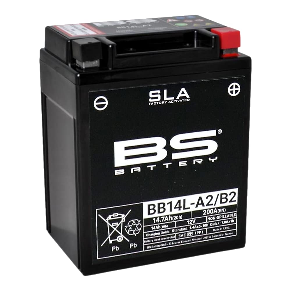 BS Battery 300759 BB14L-A2 AGM SLA Motorrad Batterie, Schwarz