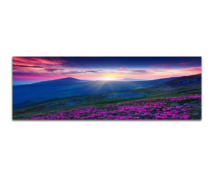 Paul Sinus Art Panoramabild auf Leinwand und Keilrahmen 150x50cm Ukraine Berge Wiese Blumen Abendrot