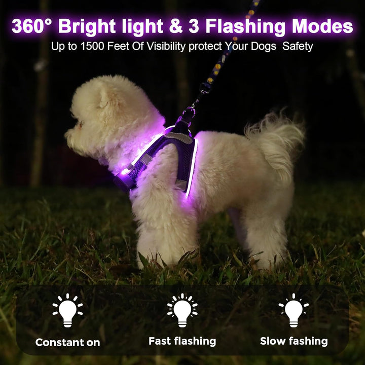 Leuchtend Hundegeschirr LED Aufladbar - Leuchtgeschirr Leuchtendes & Reflektierendes für Welpe Klein