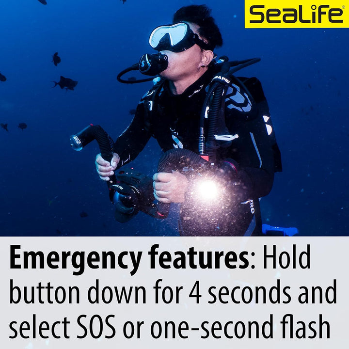 SeaLife Sea Dragon 2500 Foto/Video Tauchlampe Licht-Kit (SL671), Licht-Kit (SL671)