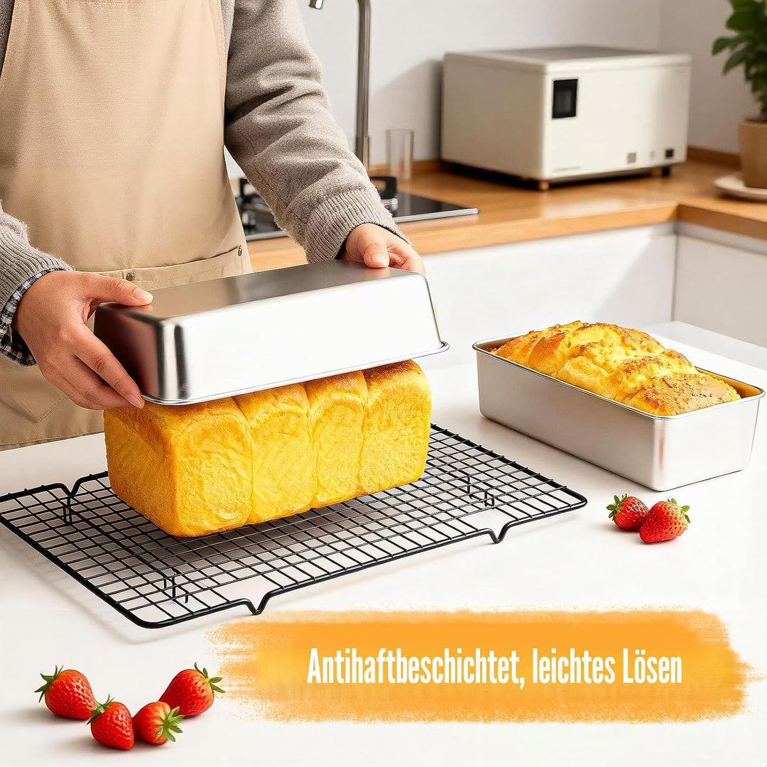 VINATO 2 Stücke Backblech,Edelstahl Backblech Klein Ofenblech,Rechteckig Edelstahlbackbleche für Las