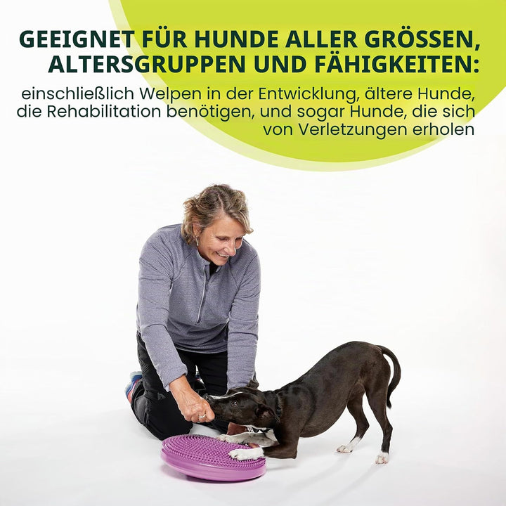 Fitpaws Balance-Disc für Hunde, 14", Violett