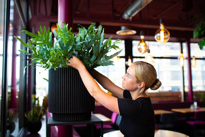 Capi Europe - Gefäss Zylinder Groove NL - 41x43 - Elfenbein - Öffnung Ø36 - Blumentopf für den Innen