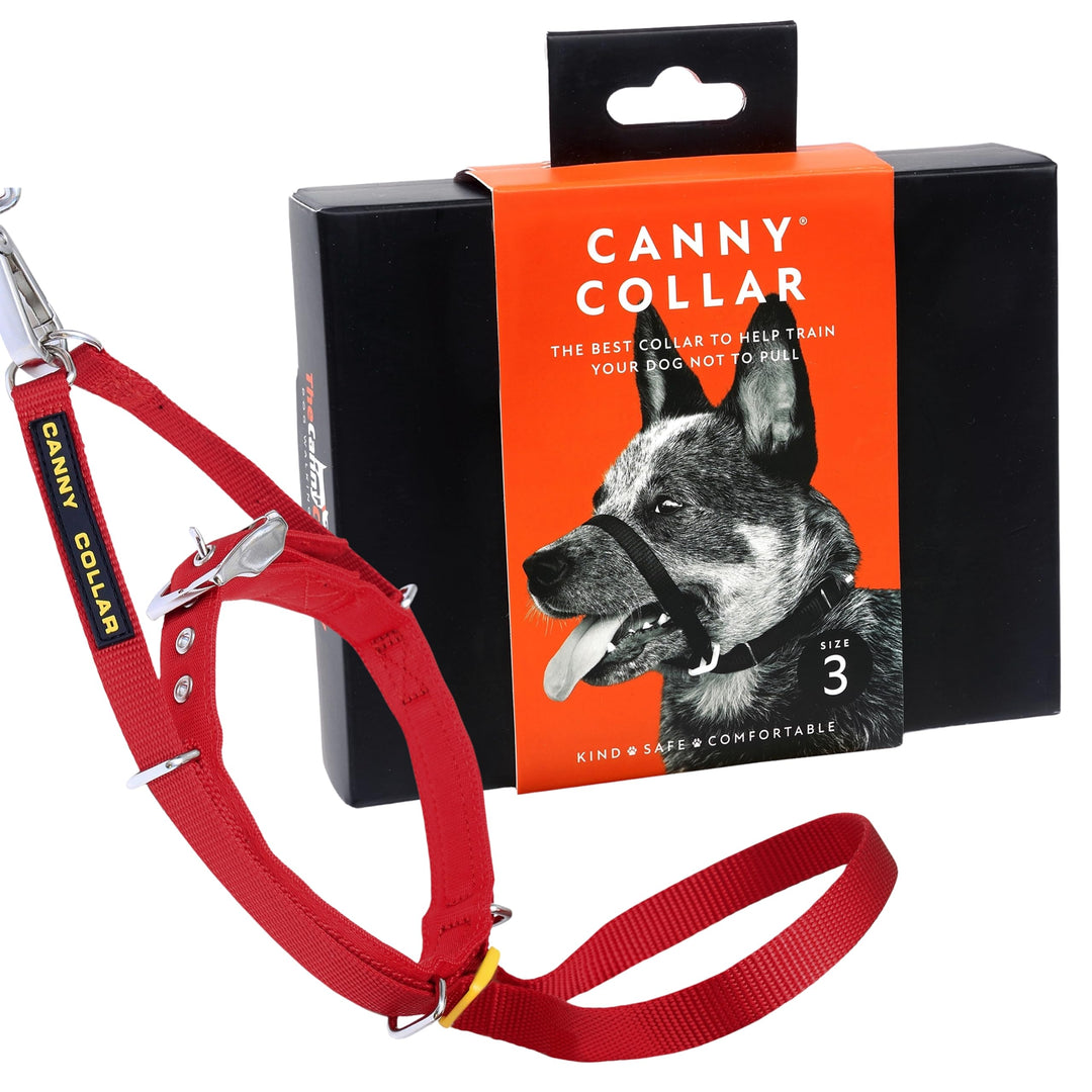Canny Collar Halsband für Hunde, einfache und effektive Hilfe beim Hundetraining und verhindert das