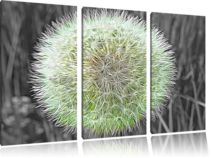 klassische zarte Pusteblume schwarz/weiss Deluxe 3-Teiler Leinwandbild 120x80 Bild auf Leinwand, XXL