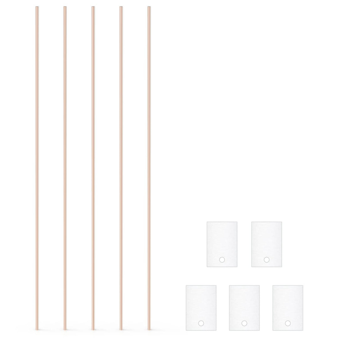 stonylab Eisen Blatt Elektrode, 10x15x1 mm, GDMS Getestet, 5 Stk, Elektrochem Klasse, Eisen