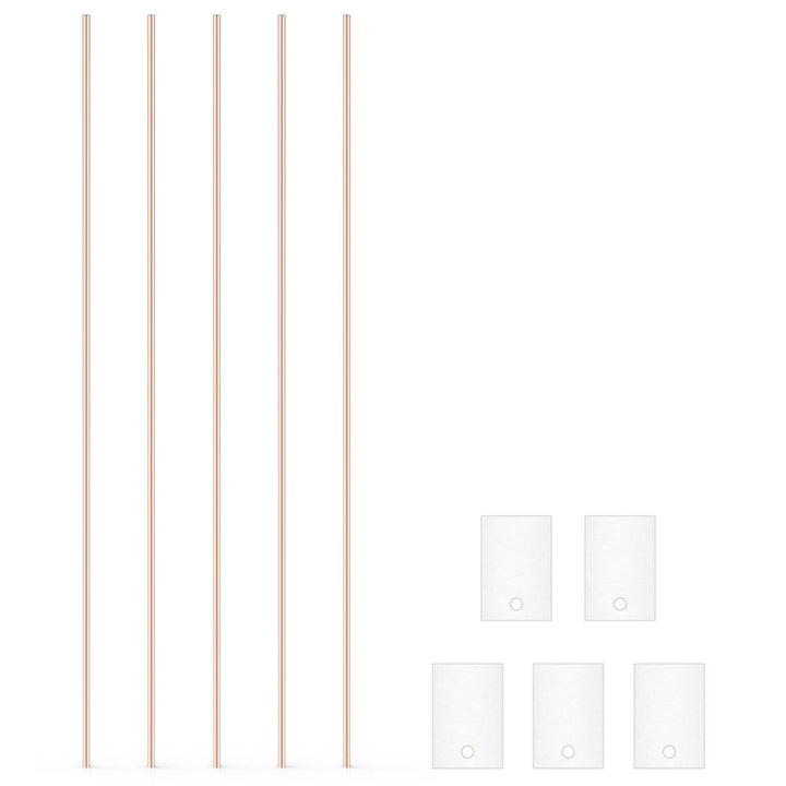stonylab Eisen Blatt Elektrode, 10x15x1 mm, GDMS Getestet, 5 Stk, Elektrochem Klasse, Eisen